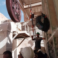 شركة الأخضر